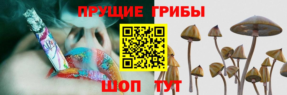 Галлюциногенные грибы мицелий Королёв